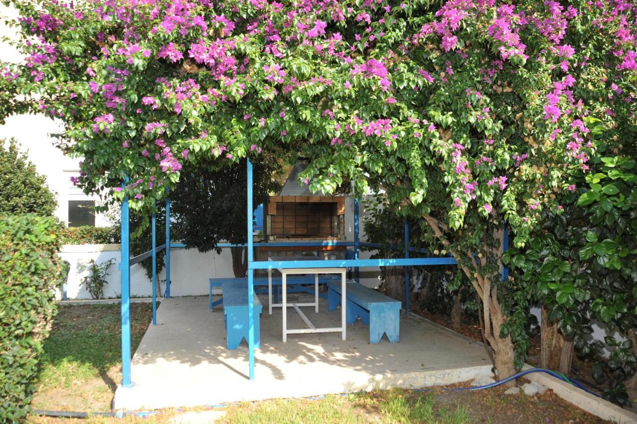 Fánai Litsas Studios المظهر الخارجي الصورة